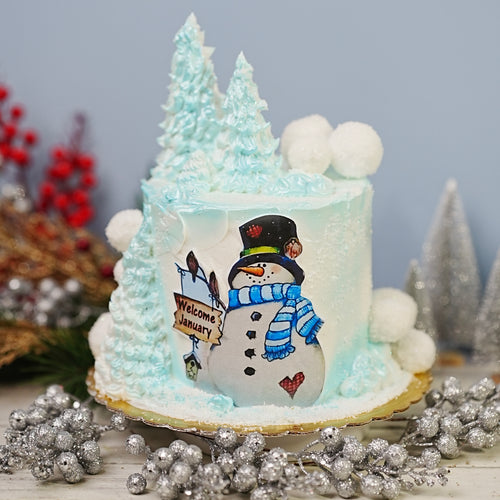 2024 Christmas Cake 5 Frosty